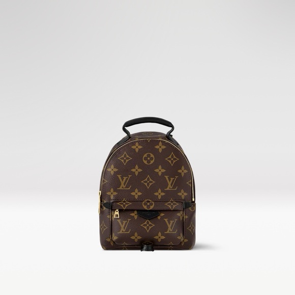 Louis Vuitton Palm Springs Mini Backpack - Picture 1 of 16